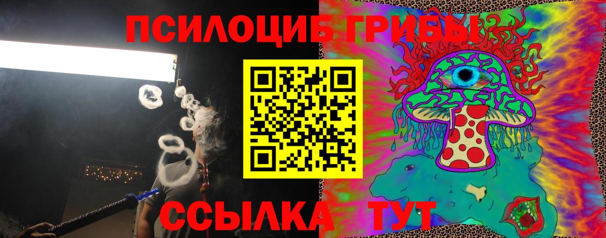 Галлюциногенные грибы прущие грибы Родники